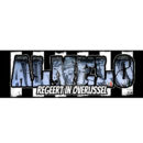 Sticker Almelo Regeert in Overijssel - 9x3 cm